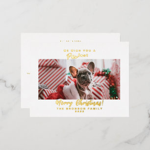 Carte Postale De Vacances En Aluminium Photo de Noël festif pour animaux Joyeux Noël