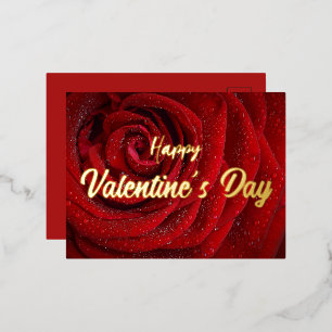 Carte Postale De Vacances En Aluminium Rose rouge, Valentine