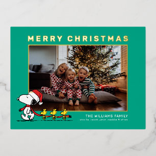 Carte Postale De Vacances En Aluminium Snoopy & Friends Photo de la famille de Noël
