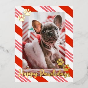 Carte Postale De Vacances En Aluminium Sucre de canne photo pour animaux de compagnie ray