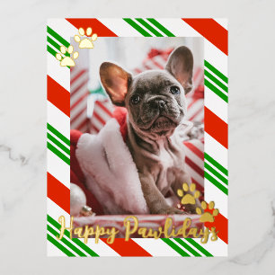 Carte Postale De Vacances En Aluminium Sucre de canne photo pour animaux de compagnie ray