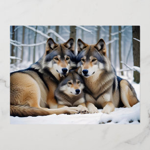 Carte Postale De Vacances En Aluminium Wolf Animal Nature Faune Affection Soin