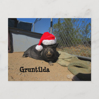 Carte postale de vacances Gruntilda Post-Card