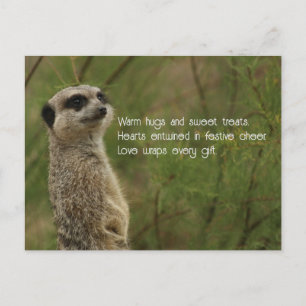 Carte postale de vacances Meercat Haiku