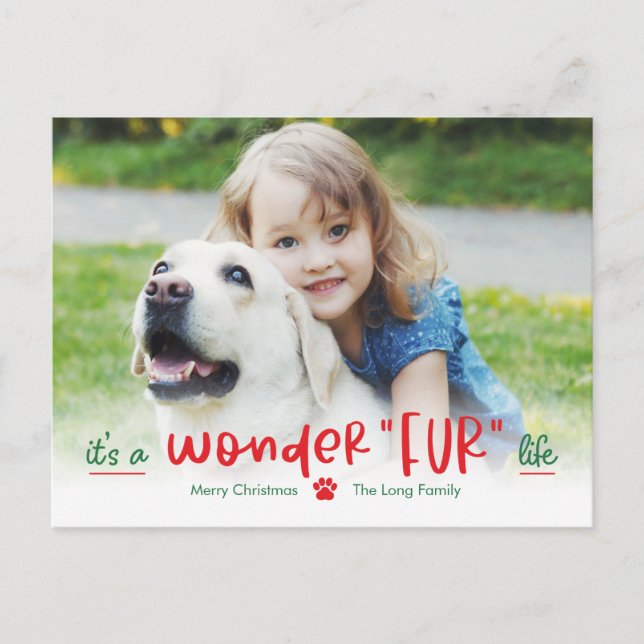 Carte postale de vacances pour animaux de compagni (Devant)