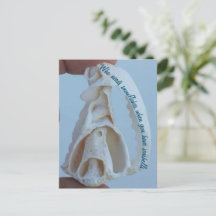 Carte postale de vacances Seashell