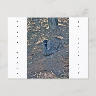 Carte postale de vacances texture lisse