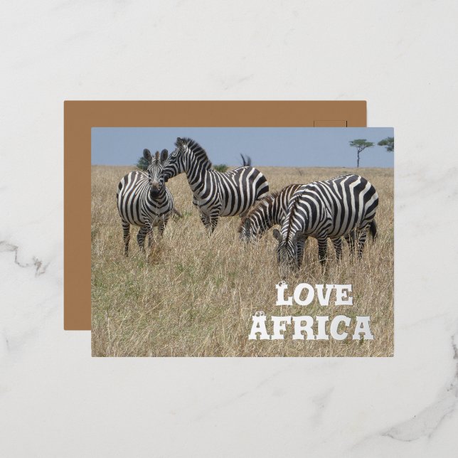 Carte postale de vacances Zebra's in the Wild Foil (Recto/Verso)