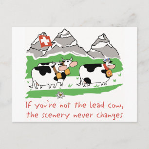 Carte postale de vache à avance