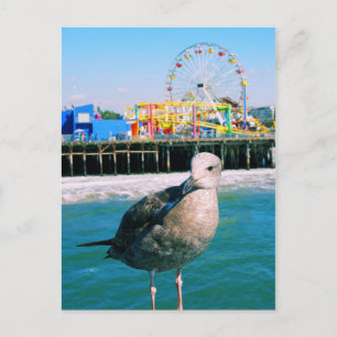 Carte postale de visite de Santa Monica Pier