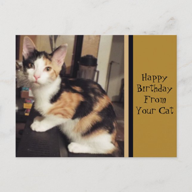 Carte postale de voeux d'anniversaire de votre cha (Devant)