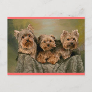 Carte postale de voeux de Chien-Chien-Chien-Coquel