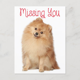 Carte postale de voeux de Chien Chien Chien Poméra