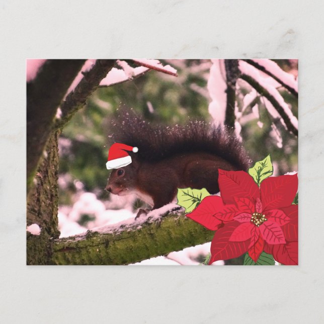 Carte postale de voeux de Noël (Devant)