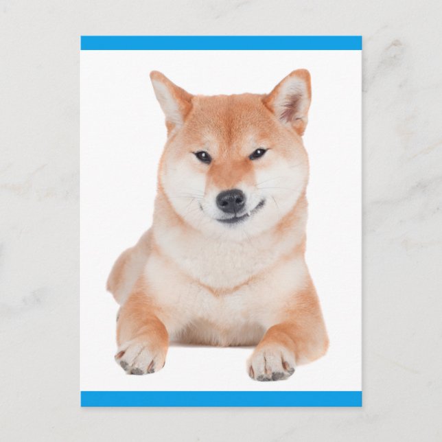 Carte postale de voeux pour chien chiot Shiba Inu (Devant)