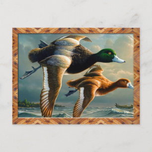 Carte postale de vol de canard