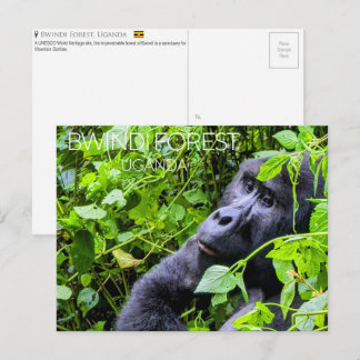 Carte postale de voyage de la forêt de Bwindi, Oug