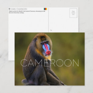 Carte postale de voyage de Limbe Wildlife, Camerou