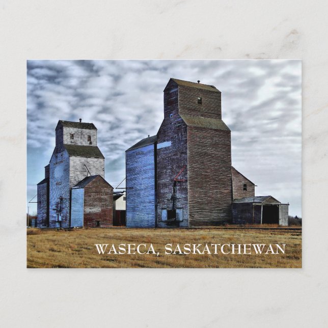 Carte postale de voyage HDR Automne Prairie Sentin (Devant)