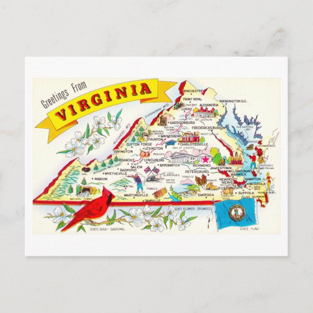 Carte postale de voyage Vintage Virginie (Devant)