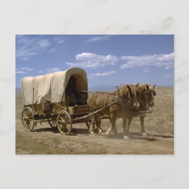 Carte postale de wagon tiré à cheval (Devant)
