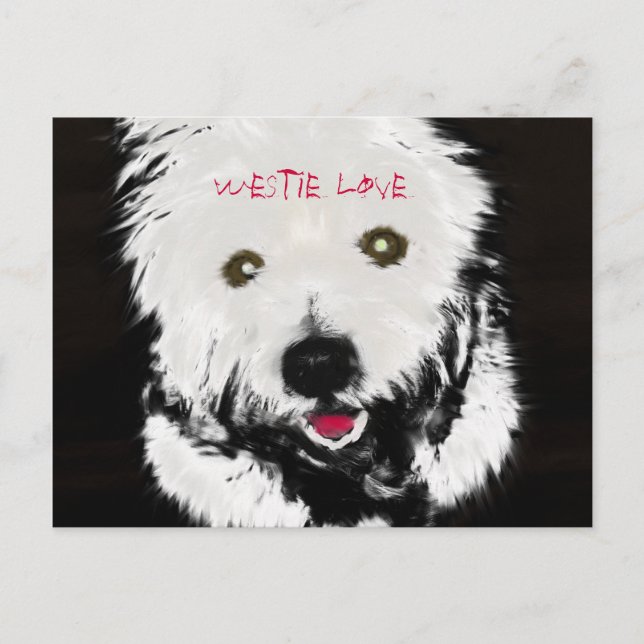 Carte postale de West Highland Terrier (Devant)