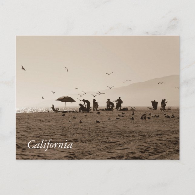 Carte postale de Zuma Beach (Devant)
