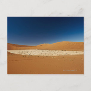 Carte Postale Deadvlei célèbre avec les arbres morts, désert