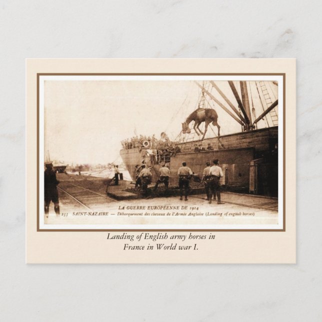 Carte Postale Débarquement de chevaux britanniques en France pen (Devant)