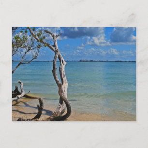 Carte Postale Débris pour Aveugle