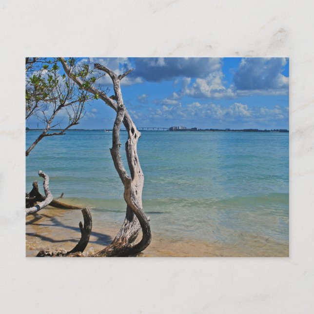 Carte Postale Débris pour Aveugle (Devant)