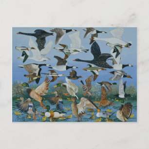 Carte Postale Décollage 1996