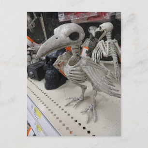 Carte Postale Décoration du squelette d'oiseaux