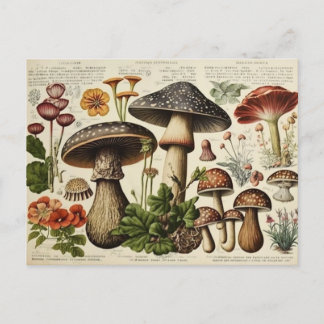 Carte Postale Découpage du salon de champignons vintages