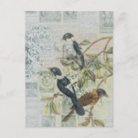 Carte postale Découpage Ephémère Oiseau vintage