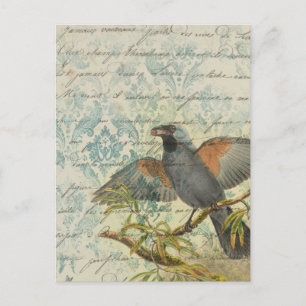 Carte postale Découpage Ephémère Oiseau vintage