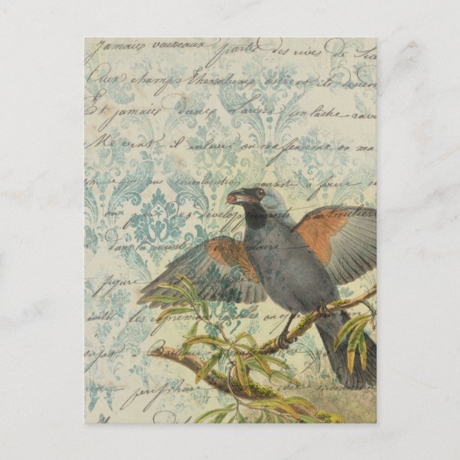 Carte postale Découpage Ephémère Oiseau vintage (Devant)