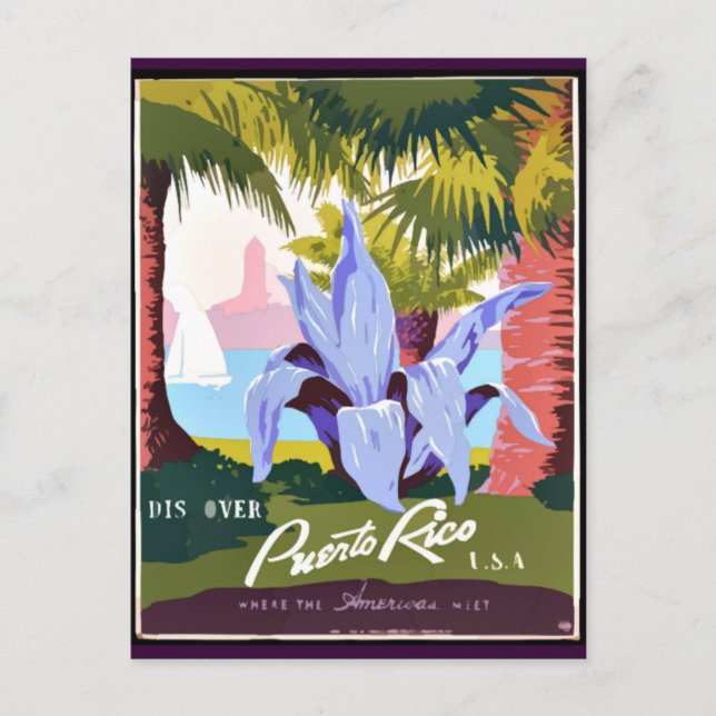Carte Postale Découvrez Porto Rico (Devant)