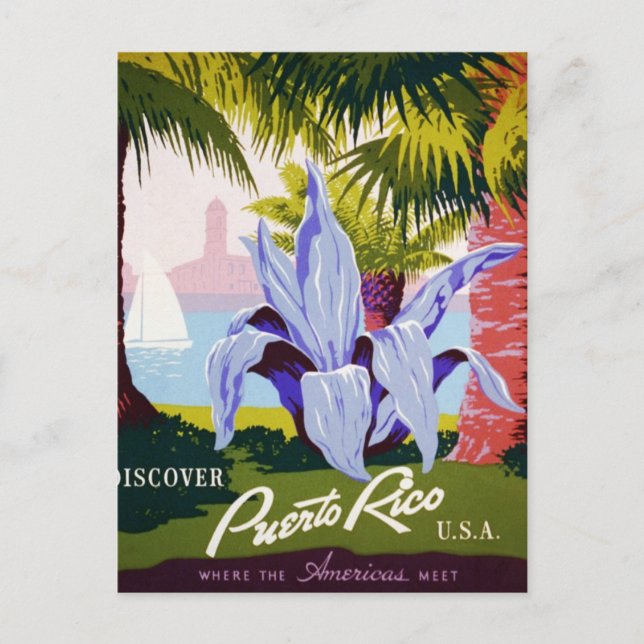Carte Postale Découvrez Porto Rico (Devant)