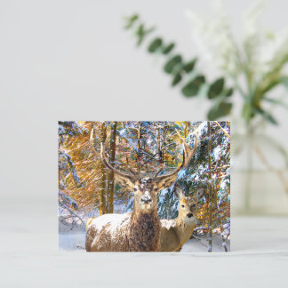 Carte Postale "Deep In The Forest"