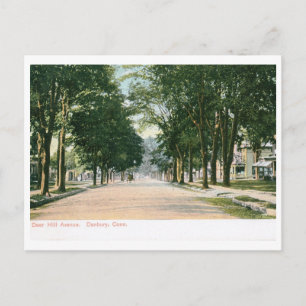 Carte Postale Deer Hill Ave, Danbury CT Vintage