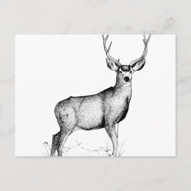 Carte Postale deergif masculin (Devant)
