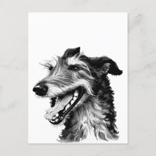 Carte Postale Deerhound noir et blanc   Cute Hound