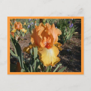 Carte Postale Défi olympique