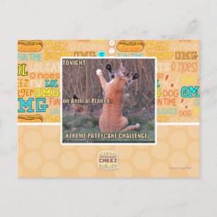 Carte Postale Défi Xtreme PattyCake