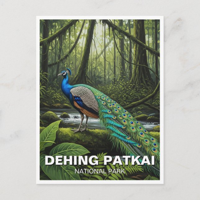 Carte Postale Dehing Patkai National Park India Travel (Devant)