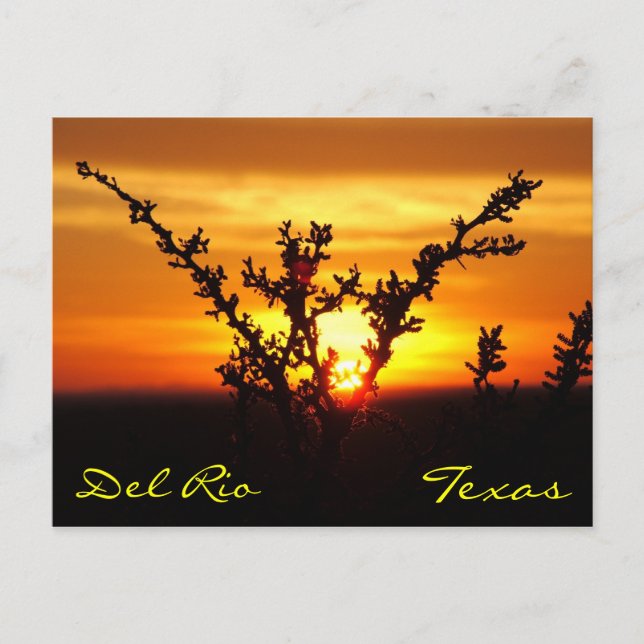 Carte postale Del Rio Texas Brush Sunset (Devant)