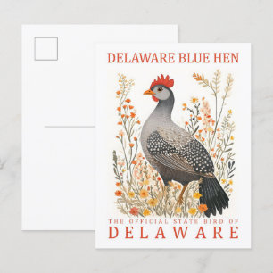 Carte Postale Delaware Blue Hen Bird of Delaware USA Travel
