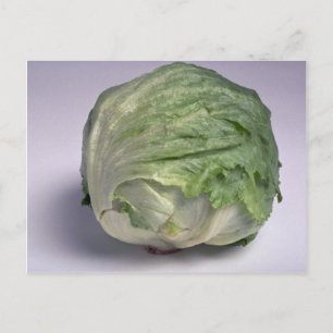 Carte Postale Délicieuse laitue Iceberg