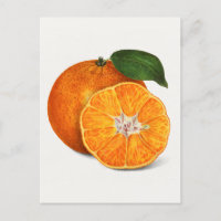 Délicieuse peinture à la mandarine orange